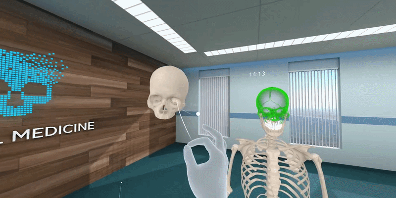 Preview of an AI anatomy learning experience
